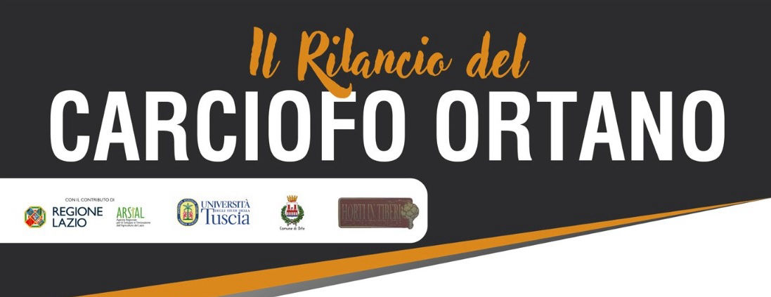 il rilancio del carciofo ortano