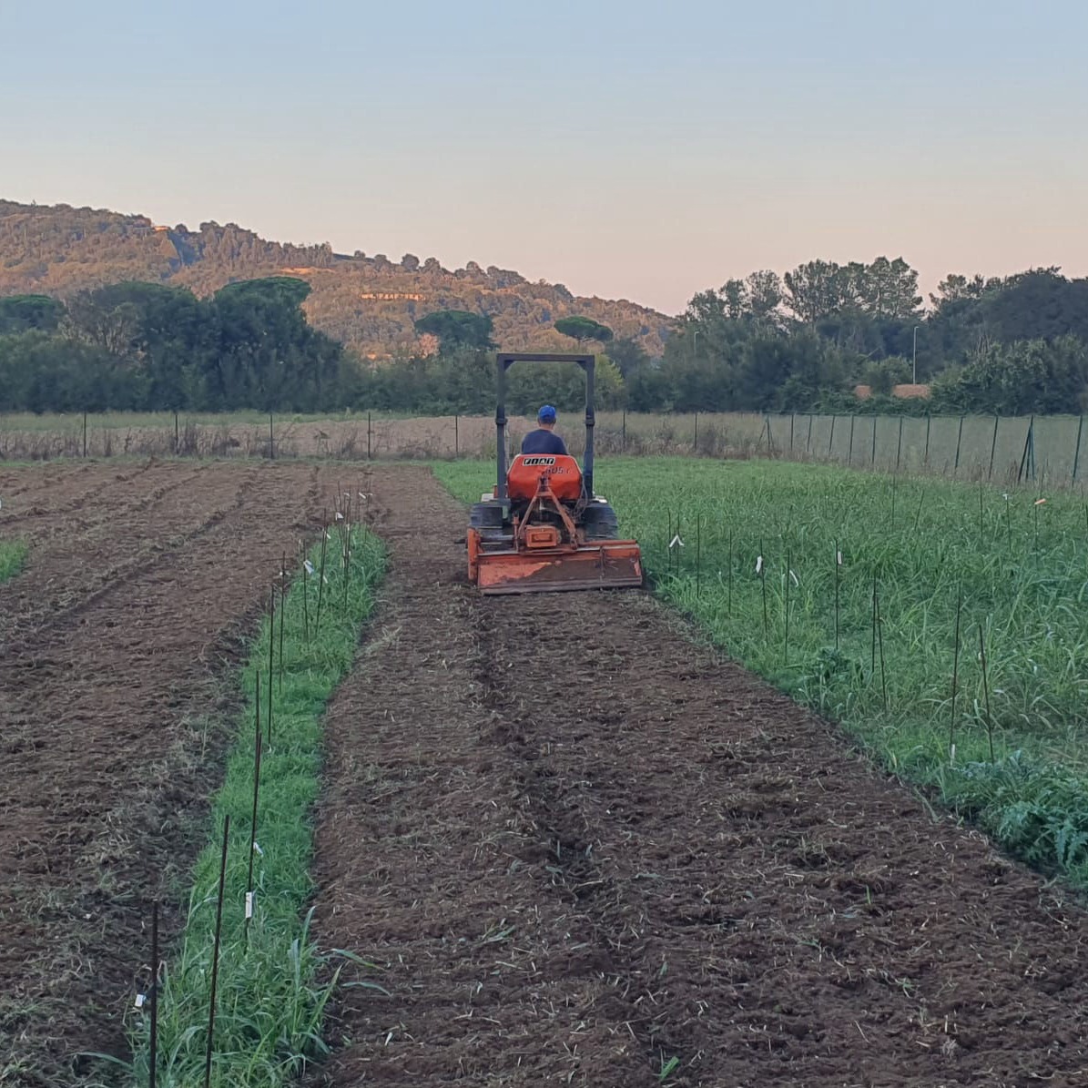 le lavorazioni del campo Catalogo