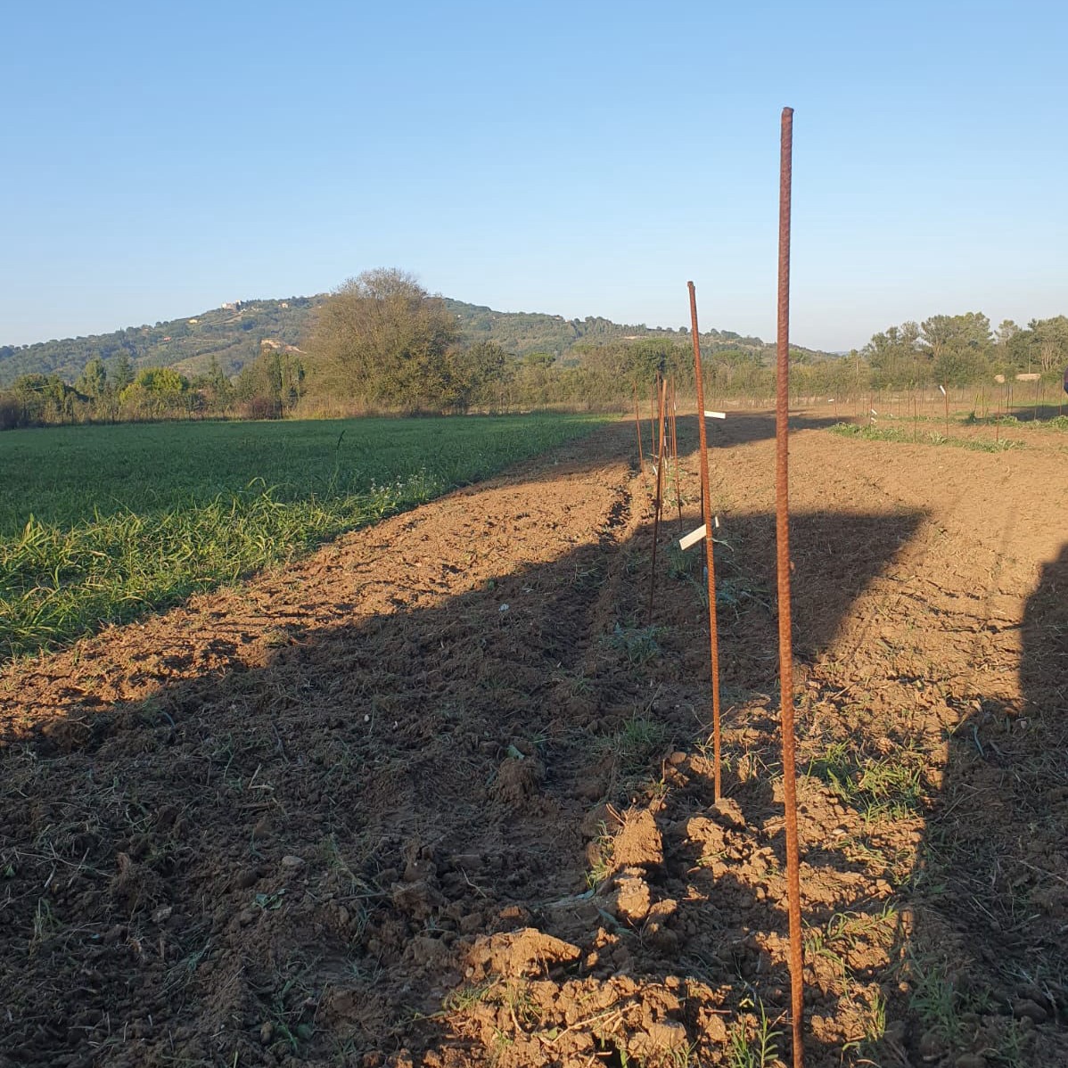 le lavorazioni del campo Catalogo