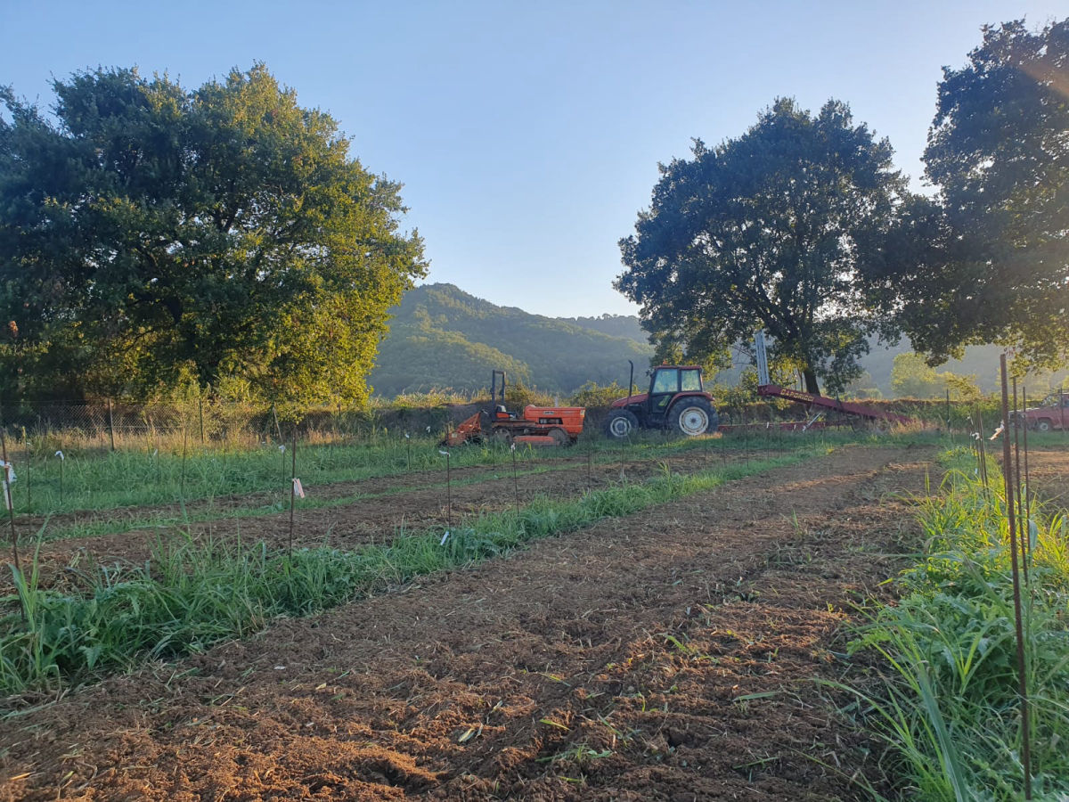 le lavorazioni del campo Catalogo