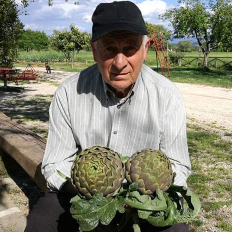 due esemplari di carciofo